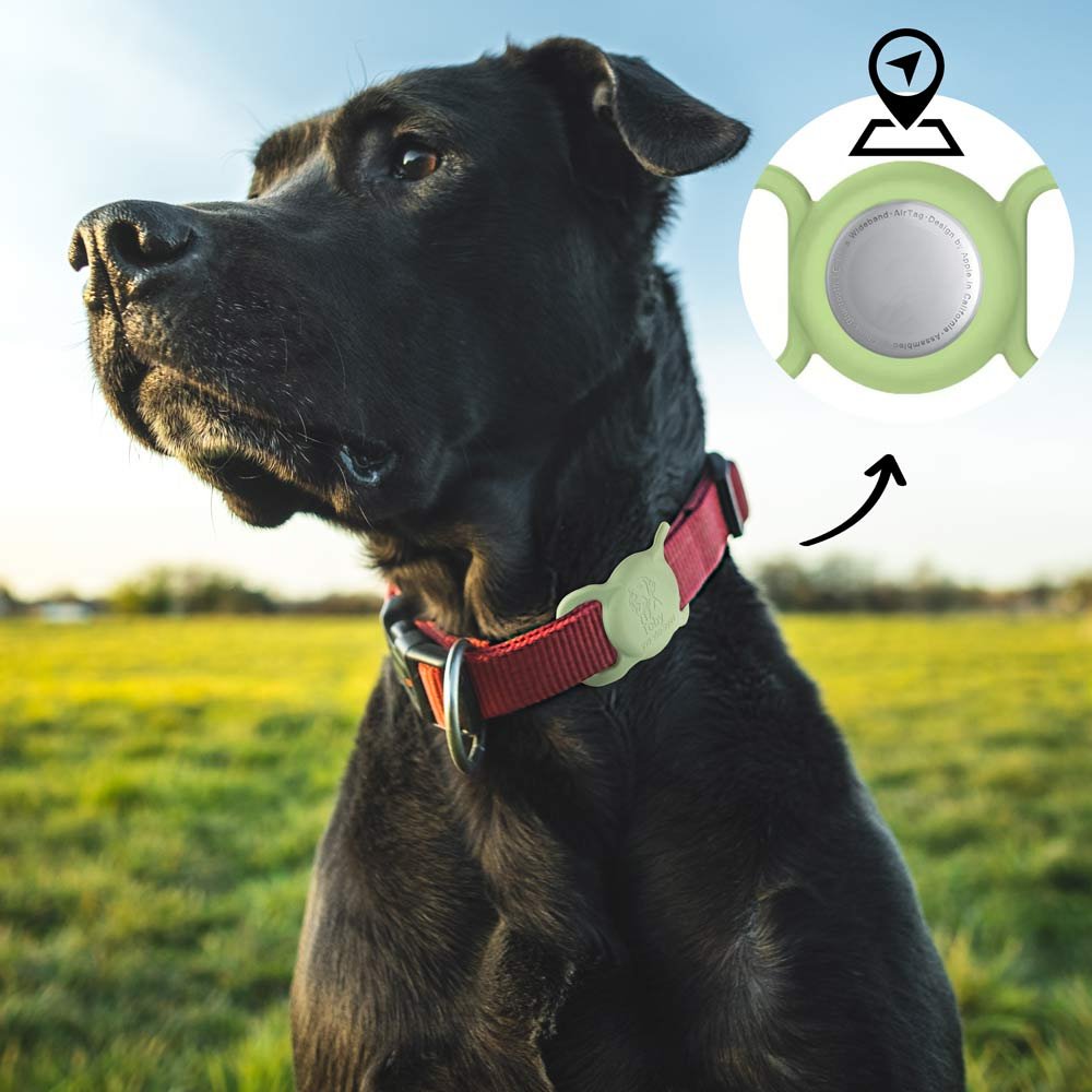 La custodia AirTag personalizzata da applicare al collare, puoi personalizzare il nome del cane e il numero di telefono del proprietario.
