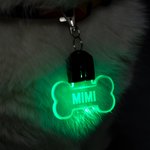Gepersonaliseerde LED Acryl Hondenhalsband Licht Paw en Bone Vorm met Naam Honden Veiligheid Nachtwandelen Camping Cadeau voor Huisdierliefhebbers