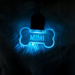 Gepersonaliseerde LED Acryl Hondenhalsband Licht Paw en Bone Vorm met Naam Honden Veiligheid Nachtwandelen Camping Cadeau voor Huisdierliefhebbers