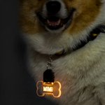 Gepersonaliseerde LED Acryl Hondenhalsband Licht Paw en Bone Vorm met Naam Honden Veiligheid Nachtwandelen Camping Cadeau voor Huisdierliefhebbers