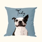 Personalised Pet Throw Pillow Cushion Cover for Couch Sofa Bedroom Gift for Pet Lovers