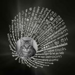 Collar Gato Personalizado 100 Lenguas Te Quiero Foto Proyección