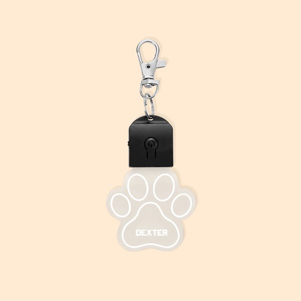 Personalisierter Pfote Knochen LED Acryl Hundehalsband-Anhänger mit Namen Hundeschild Nachtsicherheit Spaziergang Camping Geschenk für Tierliebhaber