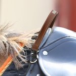 Personalisierte Leder Pferd Sattelgurt Geschenk für Anfänger Reiter