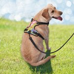 Personalized Triple Layered Breathable Mesh Adjustable Dog Chest Harness