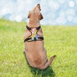 Personalized Triple Layered Breathable Mesh Adjustable Dog Chest Harness