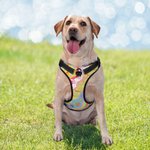 Personalized Triple Layered Breathable Mesh Adjustable Dog Chest Harness