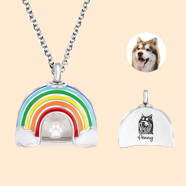 Collana personalizzata per urna crematoria Rainbow Bridge con testo inciso e ritratto Regalo commemorativo di compleanno per gli amanti dei cani e dei