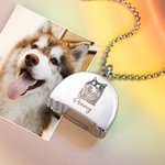 Collier Personnalisé avec Prénom Gravé Collier Commémoratif Urne de Cendres Arc-en-ciel Empreinte de Patte Cadeau pour Amoureux des Chiens Chats