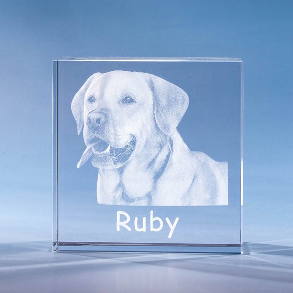 Personalisierte Pet Memorial 3D Foto Crystal Square Keepsake Geschenk