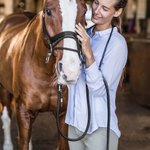 Personalized Horse Lead Rope for Equestrian Equipment