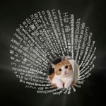 Collar personalizado de proyección de fotos conmemorativas en 100 idiomas para los amantes de los gatos