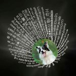 Personalised 100 Languages I love You Photo Projection Dog Paw with Initial Necklace