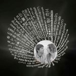 Collier Projection Personnalisé avec Photo Collier de Nœud Papillon en Cœur avec Je T'aime en 100 Langues Cadeau d'Anniversaire pour Femme