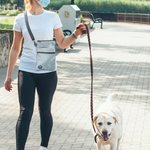 Personalized Dog Treat Pouch Waterproof Bag with Shoulder Strap and Poop Bag Holder