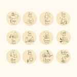 Personalized Set of 12 Classic Winnie The Pooh Baby Monthly Milestone Cards