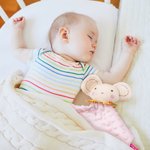 Personalized Lovey Baby Comforter Sleep Soother Security Blanket for Baby