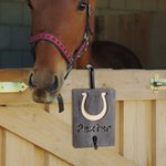 Custom Painted Horse Face Wooden Leash Holder