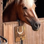 Custom Painted Horse Face Wooden Leash Holder