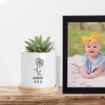 Vaso di succulente commemorativo personalizzato con fiore di nascita, nuovo bambino e regalo per gli amanti delle piante
