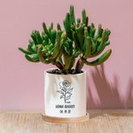 Vaso di succulente commemorativo personalizzato con fiore di nascita, nuovo bambino e regalo per gli amanti delle piante
