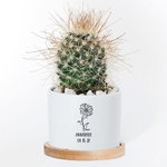 Vaso di succulente commemorativo personalizzato con fiore di nascita, nuovo bambino e regalo per gli amanti delle piante