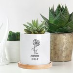 Vaso di succulente commemorativo personalizzato con fiore di nascita, nuovo bambino e regalo per gli amanti delle piante