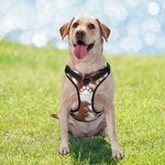 Harnais de poitrine pour chien en cuir de vachette respirant et réglable, gilet pour chien personnalisé