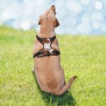 Harnais de poitrine pour chien en cuir de vachette respirant et réglable, gilet pour chien personnalisé