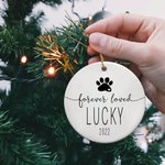 Personalized Pet Memorial Ceramic Ornament Loss of Pet Gifts