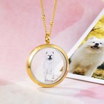 Personalised Pet Fur Keepsake Necklace with Portrait Memorial Jewellery Pet Loss Gift for Her