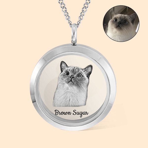 Pet Fur Keepsake Necklace with Portrait Memorial