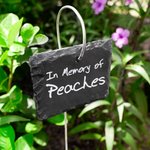 Panneau de jardin personnalisé gravé au laser en ardoise avec message Décoration de jardin