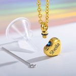 Collier Personnalisé Inoxydable Pendentif d'Urne de Cendres Forme Cœur Cadeau Commémoratif