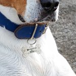 Personalisierte türkisfarbene Hundemarken mit Namen