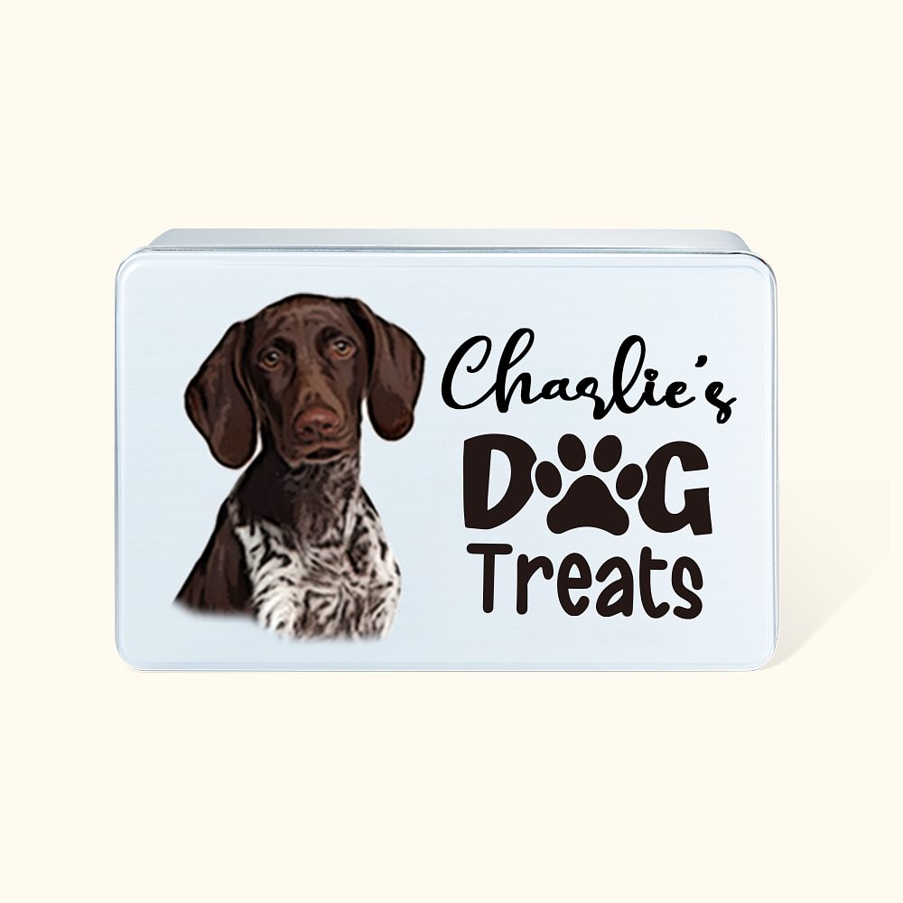 Boîte de rangement en métal personnalisée pour les friandises du chien et du chat