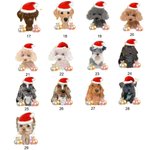 Personalisierte Metall Weihnachten Hundefutter behandeln Dose Weihnachten Haustier Geschenke