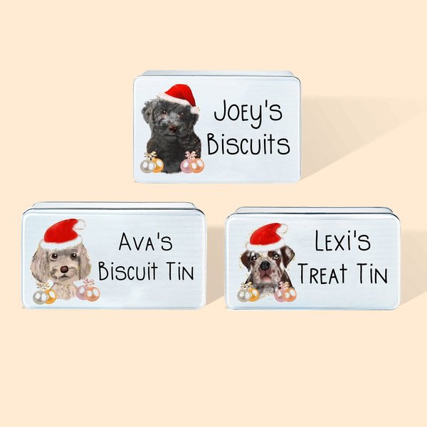 Personalised Metal Christmas Dog Food Treat Tin Christmas Pet Gifts