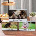 Personalized Pet Treat Storage Container with Pet Photo