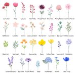 Personalized Family Watercolor Flowers Metal Tin
