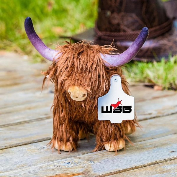 Highland Cow Stuffed Animal with Personalised Ear Tag Plush Toy