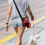 Personalised Dog Portrait Waterproof  Training Bag with Water Bowl and Biodegradable Garbage Bag Birthday Training Accessory Gift for Dog Owner