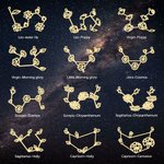 Personalised Birth Flower Zodiac Constellations Necklace