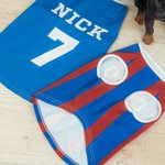 Maglia stampata personalizzata con nome e numero del cane Regalo per gli amanti dei cani