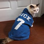 Maglia stampata personalizzata con nome e numero del cane Regalo per gli amanti dei cani