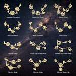 Personalised Birth Flower Zodiac Constellations Necklace