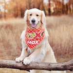 Personalised XOXO My Valentine Photo Name Dog Cat Plaid Bandana Matching Adult T-shirt Birthday Party Valentine's Day Gift for Pet Owners