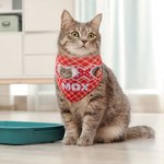 Personalised XOXO My Valentine Photo Name Dog Cat Plaid Bandana Matching Adult T-shirt Birthday Party Valentine's Day Gift for Pet Owners