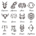 Pièce de Monnaie en Laiton Personnalisée avec Motif de Constellation Fleur de Naissance et Noms Cadeau Saint-Valentin pour Couples