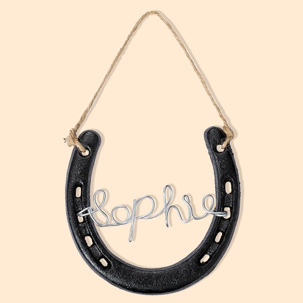 Horseshoe Wall Hanging Decor for Horse Lovers